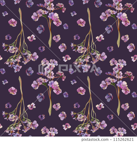 Hand drawn watercolor illustration boho botanical flowers leaves. Bergenia lungwort angelonia bacopa heliotrope, sea lavender. Seamless pattern isolated on dark background. Design wedding, love cards Hand drawn watercolor illustration boho botanical flowers leaves. Bergenia lungwort angelonia bacopa heliotrope, sea lavender. Seamless pattern isolated on dark background. Design wedding, love cards 115262621