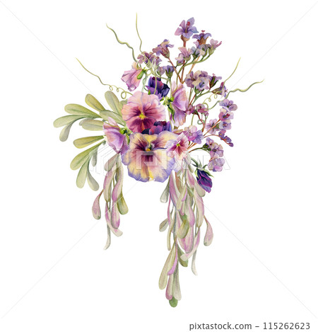 Hand drawn watercolor illustration botanical flowers leaves. Mauve pansy viola, bergenia heliotrope lungwort, locust indigo, ash maple keys, tendrils. Bouquet isolated on white. Design wedding, cards Hand drawn watercolor illustration botanical flowers leaves. Mauve pansy viola, bergenia heliotrope lungwort, locust indigo, ash maple keys, tendrils. Bouquet isolated on white. Design wedding, cards 115262623