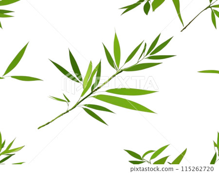 Bamboo leaf Bamboo leaf 115262720
