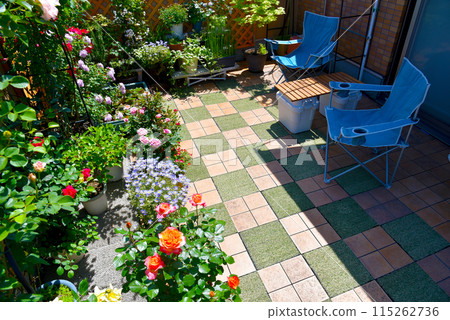 Enjoying roses on the balcony: A luxurious time with flowers 115262736