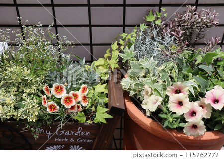 Flower arrangements and pots in front of the entrance 115262772