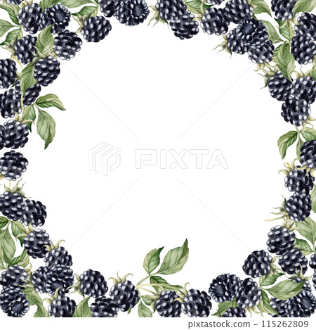 Blackberry frame with berries and leaves. Watercolor isolated illustration for table textile, porcelain tableware and delicious prints, summer fabrics, wrapping paper, food packages, label, logo 115262809