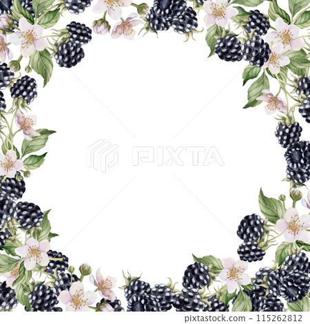 Blackberry frame with flowers and leaves. Watercolor isolated illustration for table textile, porcelain tableware and delicious prints, summer fabrics, wrapping paper, food packages, label, logo 115262812