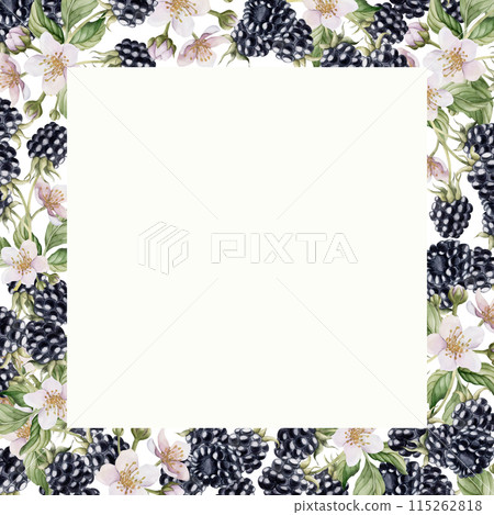 Blackberry frame with flowers and leaves. Watercolor isolated illustration for table textile, porcelain tableware and delicious prints, summer fabrics, wrapping paper, food packages, label, logo Blackberry frame with flowers and leaves. Watercolor isolated illustration for table textile, porcelain tableware and delicious prints, summer fabrics, wrapping paper, food packages, label, logo 115262818