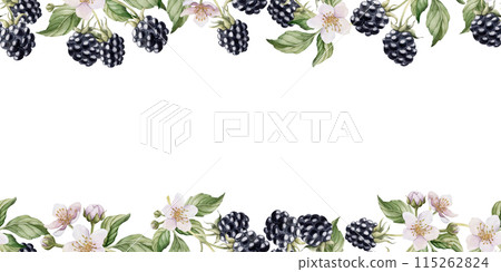 Blackberry with flowers and leaves. Horizontal frame with summer berry fruits. Watercolor isolated illustration for table textile, porcelain tableware and delicious prints, food packages, label, logo Blackberry with flowers and leaves. Horizontal frame with summer berry fruits. Watercolor isolated illustration for table textile, porcelain tableware and delicious prints, food packages, label, logo 115262824