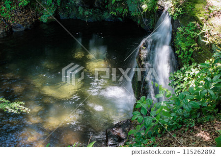 美麗的情侶瀑布 115262892