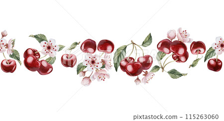 Cherry berries with flowers and leaves, watercolor isolated illustration. Seamless border with berry fruits and spring blossom for table textile, porcelain tableware, summer fabrics and food packages Cherry berries with flowers and leaves, watercolor isolated illustration. Seamless border with berry fruits and spring blossom for table textile, porcelain tableware, summer fabrics and food packages 115263060