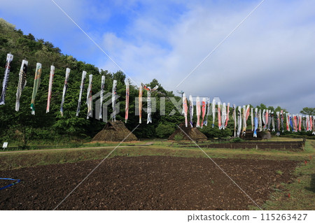 千曲市森將軍塚古墳博物館 信濃村修復了鯉魚旗飄揚的住宅 115263427