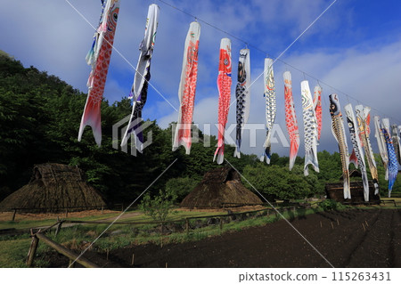 千曲市森將軍塚古墳博物館 信濃村修復了鯉魚旗飄揚的住宅 千曲市森將軍塚古墳博物館 信濃村修復了鯉魚旗飄揚的住宅 115263431