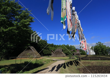 Carp streamers fluttering in the wind at the Mori Shogunzuka Tomb Museum in Chikuma City, Kano Village, a reconstructed dwelling Carp streamers fluttering in the wind at the Mori Shogunzuka Tomb Museum in Chikuma City, Kano Village, a reconstructed dwelling 115263434