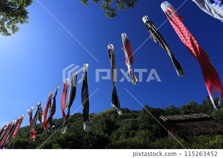 千曲市森將軍塚古墳博物館 信濃村修復了鯉魚旗飄揚的住宅 115263452