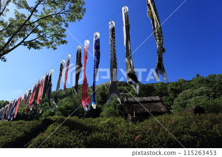 千曲市森將軍塚古墳博物館 信濃村修復了鯉魚旗飄揚的住宅 千曲市森將軍塚古墳博物館 信濃村修復了鯉魚旗飄揚的住宅 115263453