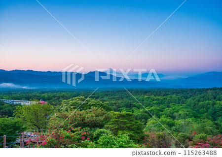 (Yamanashi Prefecture) A distant view of Mt. Fuji from the beautiful forest of Kiyosato where azaleas bloom at dawn 115263488