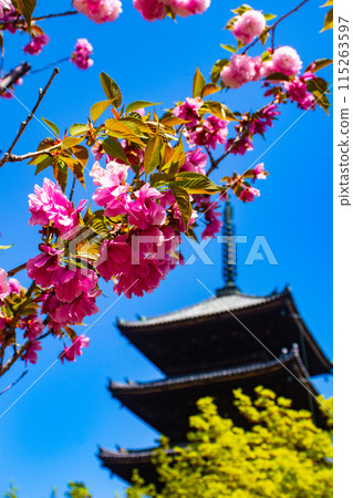 【京都風景】仁和寺、大室櫻花、五層寶塔好搭 115263597