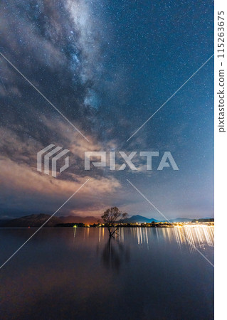 Milky way over Willow tree in the night at Lake Wanaka 115263675