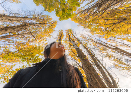 Happy asian woman enjoying in yellow leaves of pine tree in autumn forest at New Zealand 115263696