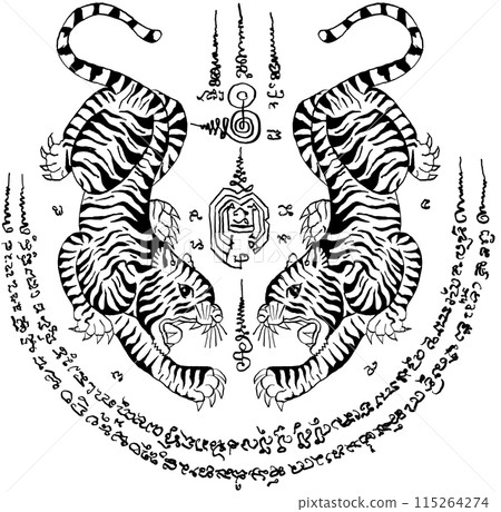 Thai traditional tattoo, two tigers (Sueu Khu). vector file for various tasks 115264274