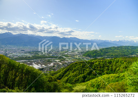 從長嶺山眺望安曇平和北阿爾卑斯山【初夏】 115265272