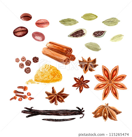 Clove spice, cinnamon, coffee, star-anis, cardamom, black pepper, vanilla, turmeric watercolor set isolated on white, hand drawn for food design. Great for spice box, menu, recipes, organic food ads 115265474