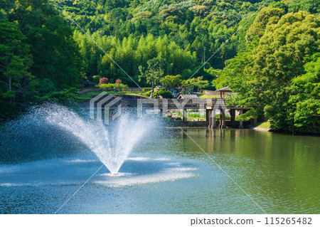 赤塚山公園、菖蒲盛開<愛知縣豐川市> 115265482