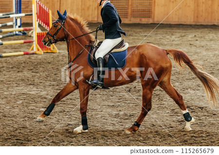 show jumping sports events man rider on brown horse 115265679