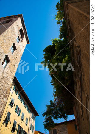 The streets of Pisa, a World Heritage city in Italy The streets of Pisa, a World Heritage city in Italy 115266284