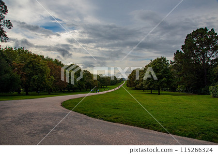 The Long Walk near Windsor Castle in the English countryside 115266324