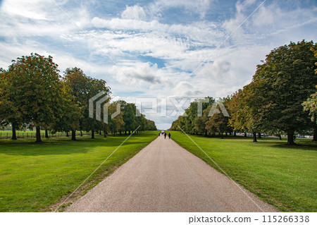 The Long Walk near Windsor Castle in the English countryside 115266338