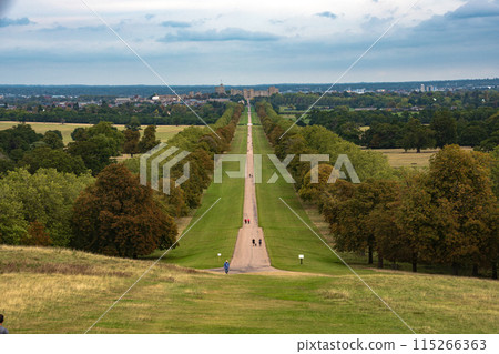 The Long Walk near Windsor Castle in the English countryside The Long Walk near Windsor Castle in the English countryside 115266363