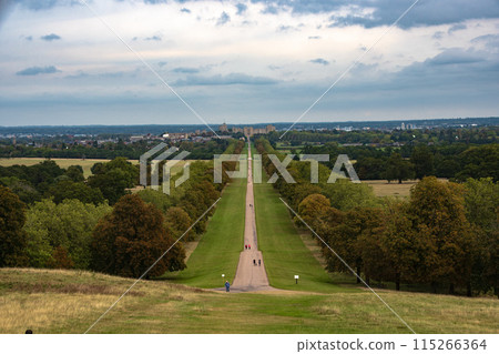 The Long Walk near Windsor Castle in the English countryside The Long Walk near Windsor Castle in the English countryside 115266364