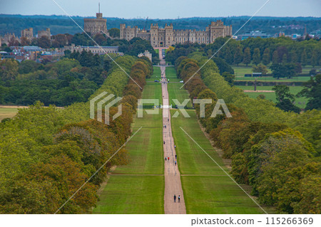 The Long Walk near Windsor Castle in the English countryside The Long Walk near Windsor Castle in the English countryside 115266369