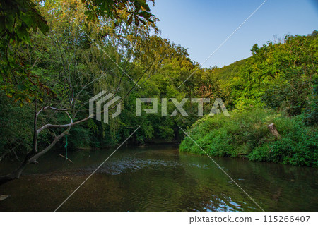 British countryside landscape British countryside landscape 115266407
