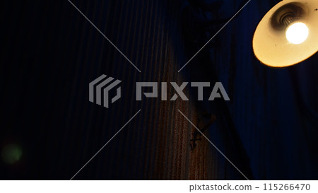 Nostalgic! A Showa-era style lamp 115266470