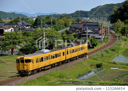 Two 115 series ordinary trains running on the Hakubi line Two 115 series ordinary trains running on the Hakubi line 115266654