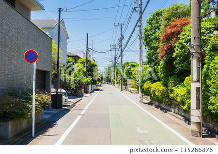 Seijo, a quiet residential area 115266876