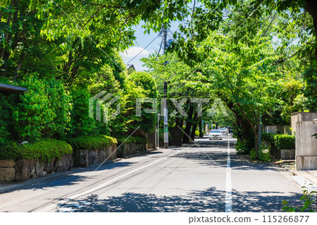 Seijo, a quiet residential area 115266877