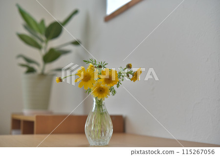 Flowers of Haruhiko Flowers of Haruhiko 115267056