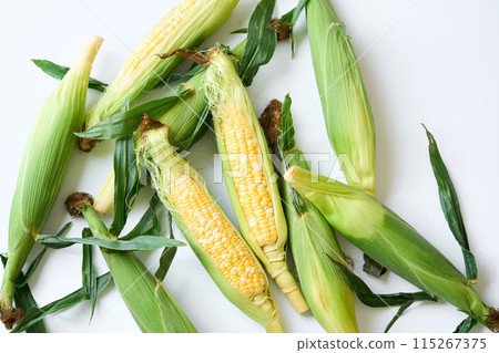 Harvested corn 115267375