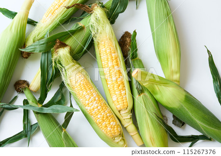 Harvested corn Harvested corn 115267376