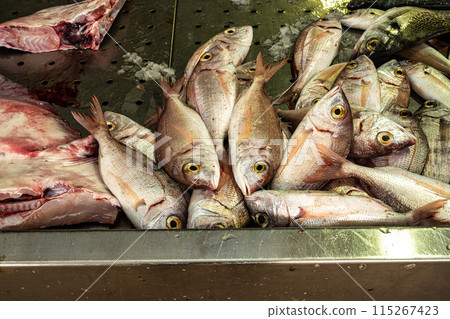 The fish and grocery market in the Markethall of Loule in the Algarve, Portugal in Europe. 115267423