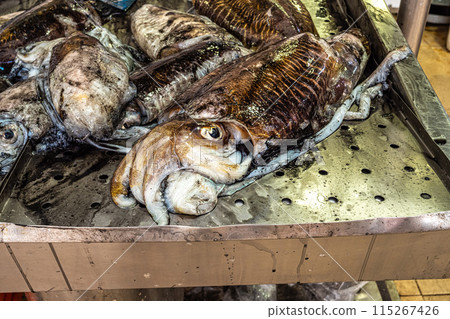 The fish and grocery market in the Markethall of Loule in the Algarve, Portugal in Europe. 115267426