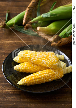 Freshly boiled corn 115267620