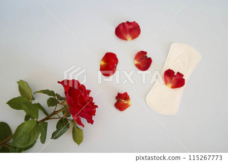 a menstrual pad and red rose on pale blue background 115267773
