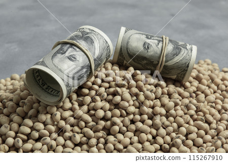 Dollars banknotes and coins and soy beans,oleaginous commoditi value concept. 115267910