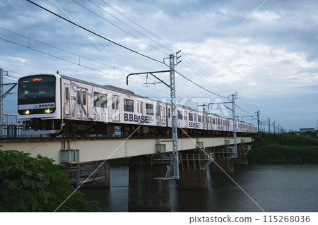 train, trains, electric train 115268036