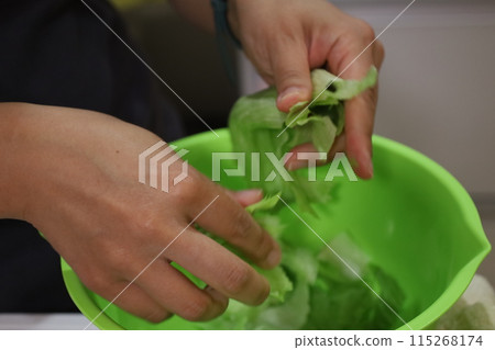 女人的手撕生菜 115268174