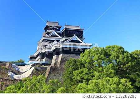 [Kumamoto Prefecture] Kumamoto Castle (main and small towers) on a clear day 115268283
