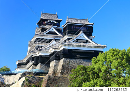 [Kumamoto Prefecture] Kumamoto Castle (main and small towers) on a clear day 115268285