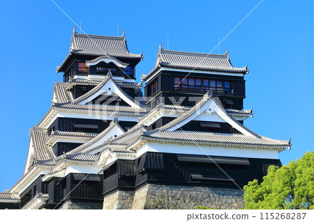 [Kumamoto Prefecture] Kumamoto Castle (main and small towers) on a clear day 115268287
