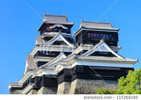 [Kumamoto Prefecture] Kumamoto Castle (main and small towers) on a clear day 115268289